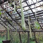 Agriturismo Mare E Monti Tramonti