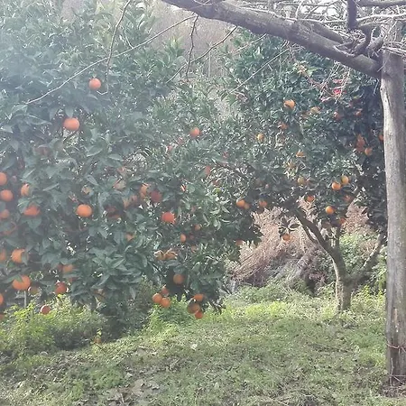 Mare E Monti Hétvégi ház