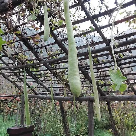 Agriturismo Mare E Monti Tramonti